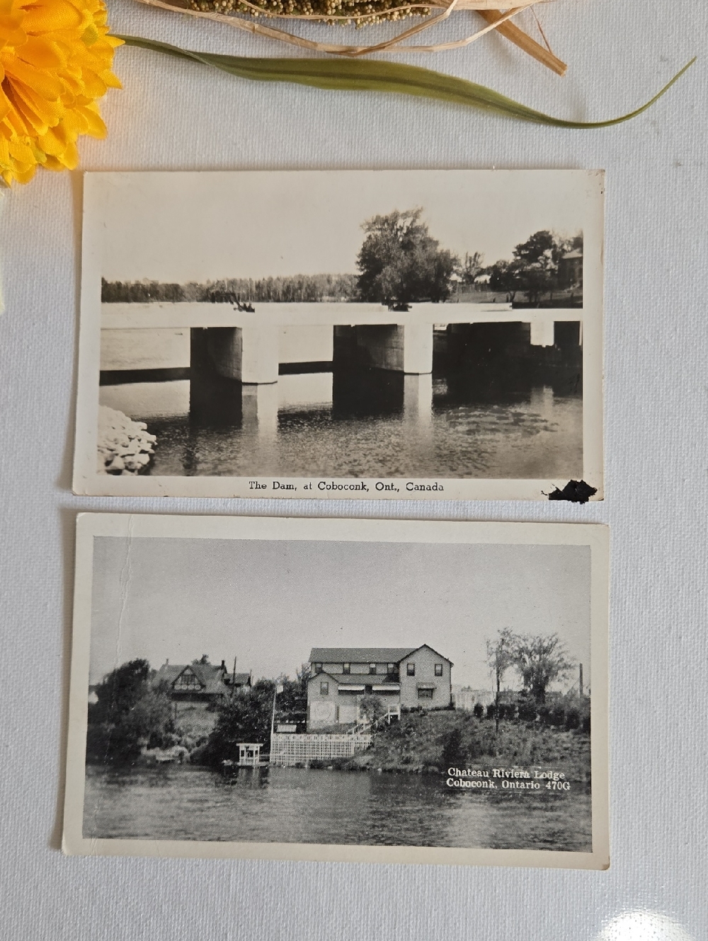 Vintage Photo Postcards Coboconk Ontario 1943
